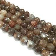 Natural Sunstone Beads Strands, Grade AB, Faceted, Round, 8mm, Hole: 1mm, about 47pcs/strand, 15.5 inch(X-G-G213-8mm-32)
