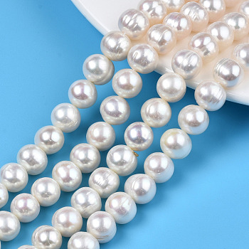 Natural Cultured Freshwater Pearl Beads Strands, Potato, Seashell Color, 9~9.5x10.5~12x9.5~10mm, Hole: 0.8mm, about 40~44pcs/strand, 14.57~14.96 inch(37~38cm)