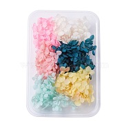 Dried Flowers, DIY Candle Soap Making Accessories, with Plastic Rectangle Box, Mixed Color, 5.3~7x5.2~7cm(X-DIY-D052-17)