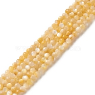 Natural Golden Yellow Shell Beads Strands, Faceted, Round, 2mm, Hole: 0.6mm, about 165pcs/strand, 15.55 inch(39.5cm)(SSHEL-G029-01C)