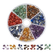 101.5G 7 Colors Natural Mixed Gemstone Beads, Chip, 5~14x4~10x3~6mm, 14.5g/color(G-YW0001-12)