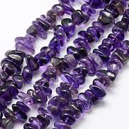 Natural Amethyst Beads Strands, Nuggets, 8~16x5~8mm, Hole: 1mm, 15.3 inch(39cm)(G-F521-19)