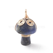 Natural Sodalite Copper Wire Wrapped Pendants, Mushroom with Vortex Charm, Light Gold, 29x16.5mm, Hole: 3~4mm(PALLOY-TA00006-01)