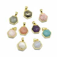 Natural Mixed Stone Pendants, with Golden Tone Brass Findings, Hexagon, Faceted, 13.5x14x5mm, Hole: 2.5x3.5mm(G-O176G-G)