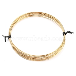 Yellow Gold Filled Craft Wire, Half Hard, Round, Real 14K Gold Filled, 22 Gauge, 0.6mm, about 14.76 Feet(4.5m)/Roll(CWIR-D001-01D-G)