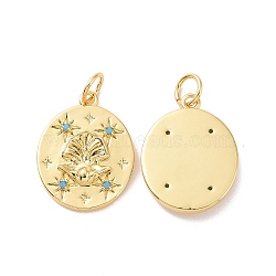 Oval with Shell Pattern Brass Micro Pave Cubic Zirconia Pendants, with Jump Rings, Cadmium Free & Nickel Free & Lead Free, Real 18K Gold Plated, 18x14x3mm, Hole: 3.4mm(KK-G435-10G)