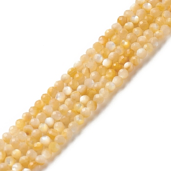 Natural Golden Yellow Shell Beads Strands, Faceted, Round, 2mm, Hole: 0.6mm, about 165pcs/strand, 15.55 inch(39.5cm)