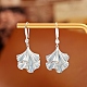 Brass Enamel Dangle Earrings(WG31BAD-01)-2