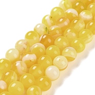 Natural Striped Agate/Banded Agate Beads Strands, Dyed, Round, Yellow, 10mm, Hole: 1.2mm, about 19pcs/strand, 7.60''(19.3cm)(G-Z060-A01-C20)