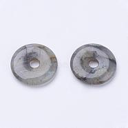 Natural Labradorite Pendants, Donut/Pi Disc, Donut Width: 11~12mm, 28~30x5~6mm, Hole: 6mm(G-F524-B13)
