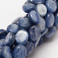 Oval Natural Kyanite/Cyanite/Disthene Bead Strands, 10x8x4mm, Hole: 1mm, about 41pcs/strand, 15.7 inch(G-O139-01B)