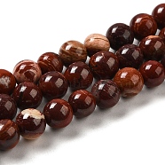 Natural Red Snakeskin Jasper Beads Strands, Round, 6~6.5mm, Hole: 1mm, about 60pcs/strand, 15.16''(38.5cm)(X-G-H298-A02-02)