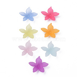 Transparent Acrylic Beads, Frosted, Flower, Mixed Color, 26x27x6mm, Hole: 1.8mm(X-MACR-S373-127-D)
