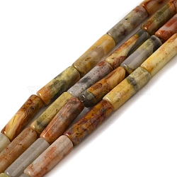 Natural Crazy Agate Beads Strands, Column, 13~14x4~4.5mm, Hole: 1.2mm, about 14pcs/strand, 7.48''(19cm)(G-U010-A09-01)