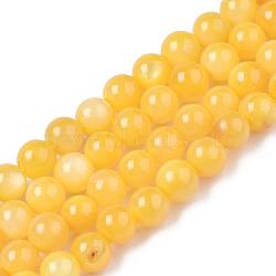 Natural Freshwater Shell Beads Strands, Dyed, Round, Orange, 2.5mm, Hole: 0.5mm, about 122pcs/strand, 14.57''(37cm)(X-BSHE-T009A-01I)