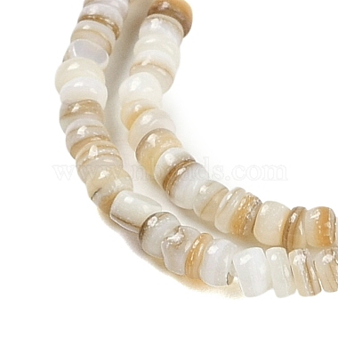 Natural Freshwater Shell Beads Strands(BSHE-H109-13A)-4