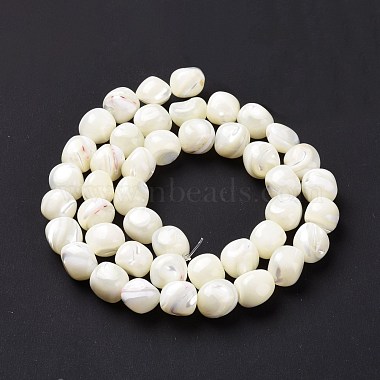Natural Trochid Shell Beads Strands(SSHEL-G023-04A)-3