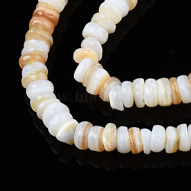 Natural Freshwater Shell Beads Strands(X-SHEL-S278-067G)-3