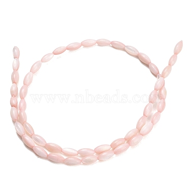 eau douce naturelle de coquillage perles brins(SHEL-C010-01F)-3