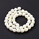 Natural Trochid Shell Beads Strands(SSHEL-G023-04A)-3