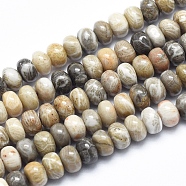 Natural Fossil Coral Beads Strands, Rondelle, 6x4mm, Hole: 1mm, about 99pcs/strand, 15.7 inches(G-K256-10A)
