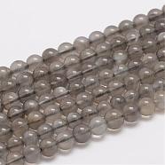 Natural Black Moonstone Beads Strands,  Round, Black, 6mm, Hole: 0.8mm, about 61pcs/strand(G-F306-06-6mm)