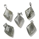 pendentifs labradorite naturelle(G-C066-03B)-1