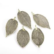 Electroplated Natural Leaf Big Pendants, with Iron Findings, Antique Bronze Plated, 50~80x20~35x1mm, Hole: 3x6mm(IFIN-Q119-03F)