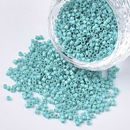 11/0 Grade A Glass Seed Beads, Cylinder, Uniform Seed Bead Size, Baking Paint, Medium Turquoise, about 1.5x1mm, Hole: 0.5mm, about 20000pcs/bag(SEED-S030-0729)