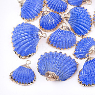 Spray Paint & Electroplate Sea Shell Pendants, with Iron Findings, Light Gold, Royal Blue, 16~26x17~28x7~10mm, Hole: 2mm(SSHEL-S262-08B)