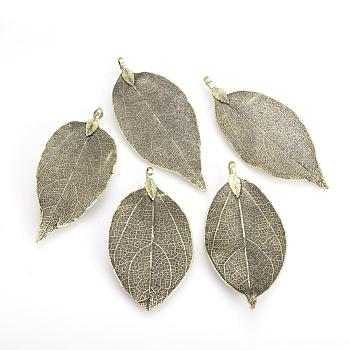 Electroplated Natural Leaf Big Pendants, with Iron Findings, Antique Bronze Plated, 50~80x20~35x1mm, Hole: 3x6mm