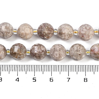 brins de perles fossiles de conque naturelle(G-G182-B11-05)-5