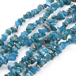 Natural Apatite Beads Strands, Chip, Deep Sky Blue, 5~13x3~8mm, Hole: 0.6mm, 33~33.4 inch(84~85cm)(G-F666-01B-02)