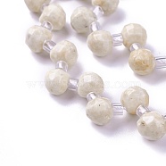 Natural Fossil Beads Strands, Faceted, Round, 7mm, about 55pcs/strand, 15.1 inch~16.1 inch(38.5~40cm)(G-I246-04)