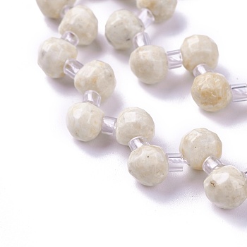 Natural Fossil Beads Strands, Faceted, Round, 7mm, about 55pcs/strand, 15.1 inch~16.1 inch(38.5~40cm)