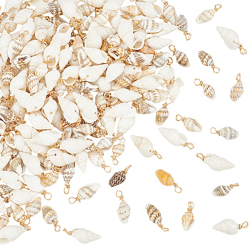 100Pcs Copper Wire Wrapped Natural Shell Pendants, Mixed Color, 18~23x7~10x6~7.5mm, Hole: 3.2~3.7mm, 100pcs/set