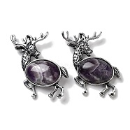 Alloy Elk Brooches, with Natural Amethyst, Antique Silver, 49.5x49x14mm(JEWB-A021-02AS-04)