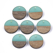 Resin & Wood Pendants, Flat Round, Pale Turquoise, 14~15x3~4mm, Hole: 1.8mm(X-RESI-S358-02E-03)