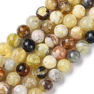 Natural Yellow Opal Beads Strands, Grade B, Round, 8mm, Hole: 1mm, about 46~47pcs/strand, 15.28''(38.8cm)(G-Q1001-A02-02)