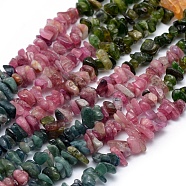 Natural Tourmaline Beads Strands, Chip, 5~7mm, Hole: 0.8mm, about 15~16 inch(38~40.6cm)(G-P332-73A)