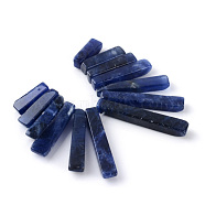 Natural Sodalite Pendants Sets, Graduated Fan Pendants, Focal Beads, Rectangle, 11~30x4~5x4mm, Hole: 1mm, 13pcs/set(X-G-Q458-01B)