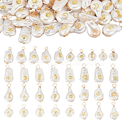 AHADERMAKER 16 Sets 8 Styles ABS Plastic Imitation Pearl Pendants, with Brass Cabochons and Eco-Friendly Copper Wire, Mixed Shapes, 21x10.5x7.5mm, Hole: 2~2.4mm, about 3pcs/set, 2 sets/style(PALLOY-GA0004-13)