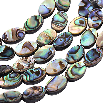 Natural Abalone Shell/Paua Shell Beads, Oval, 10.36x6.3x3.28mm, Hole: 0.5mm