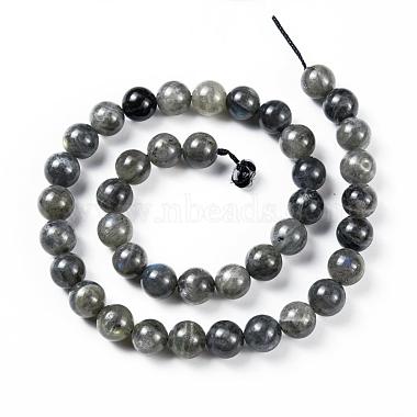 Grade AA Natural Gemstone Labradorite Round Beads Strands(G-E251-33-10mm)-6