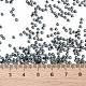 トーホー11/0ラウンドビーズ(SEED-XTR11-0929)-4