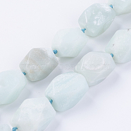 Natural Amazonite Beads Strands, Faceted, Oval, 18~20x11~19mm, Hole: 1.5mm, about 19~20pcs/strand, 16.3~16.4 inch(41.5~41.7cm)(G-F554-05)