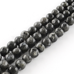 Natural Labradorite Round Bead Strands, 6mm, Hole: 1mm, about 62pcs/strand, 15.7 inch(X-G-R342-6mm-09)