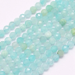Natural Amazonite Beads Strands, Grade A, Faceted, Round, 3mm, Hole: 0.5mm, about 127pcs/strand, 15.7 inch(40cm)(G-F509-25-3mm)