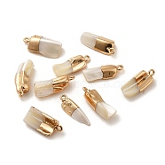 Natural Trochus Shell Pendants, with Brass Findings, Nuggets Charms, Light Gold, 18.5~23x7~10x4~7mm, Hole: 1.6~1.8mm(SSHEL-H071-04KCG)