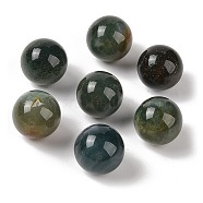 Natural Indian Agate No Hole Sphere Beads, Round, 14mm(G-K353-04C-09)